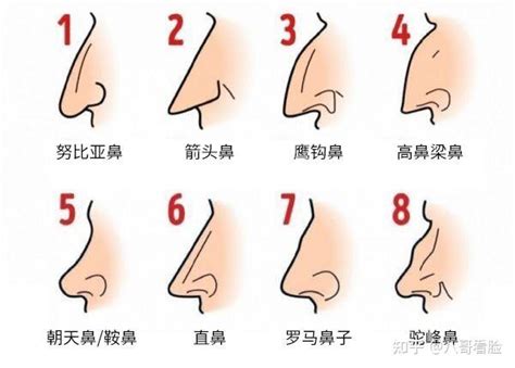 鼻子 面相|十五种鼻型，你属于哪一种？